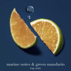 Acqua di Giò Profondo Eau de Parfum Refill