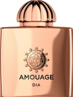 AMOUAGE DIA WOMAN EDP 100 ML