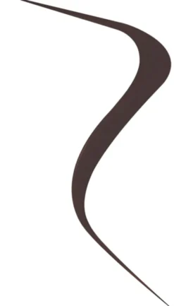 Aqua Resist Graphic Ink - Eyeliner