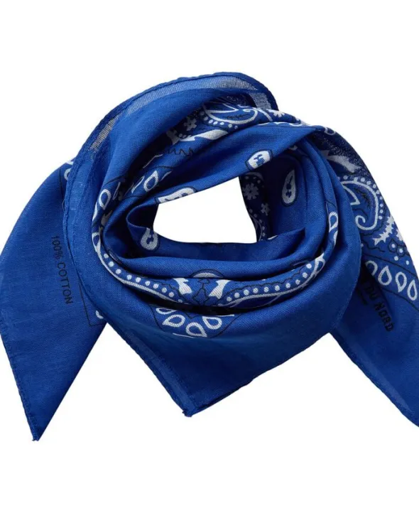 Bandana scarf 1