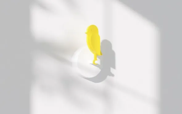 Birdie