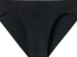 Brief