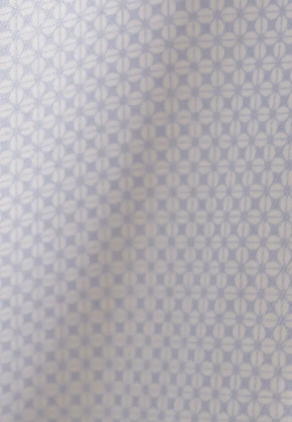 Business Shirt Regular Long sleeve Kent-Collar Print