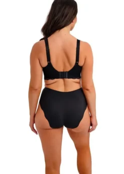 CESILE FULL BRIEF