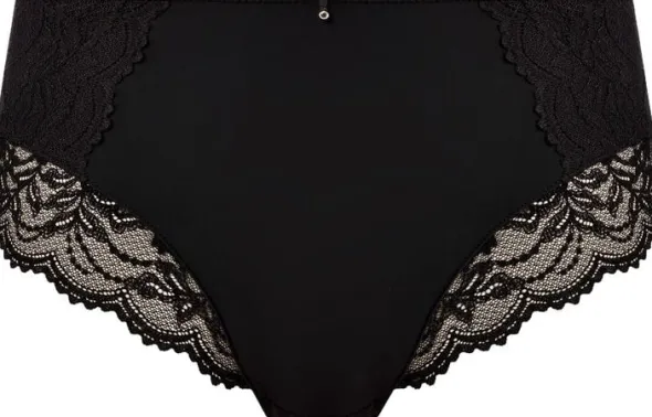 CESILE FULL BRIEF