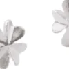 Clover