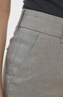 DenaFV