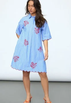 EDINA-DR2
