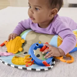 Fisher-Price Balanced Beg