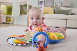 Fisher-Price Balanced Beg