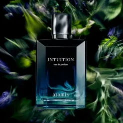 Intuition