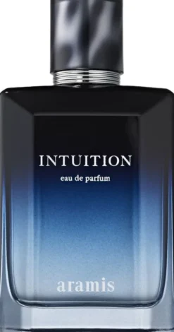 Intuition
