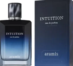 Intuition