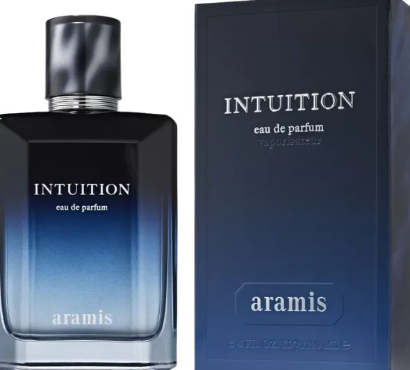 Intuition