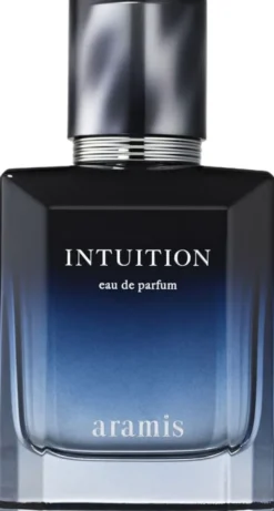 Intuition