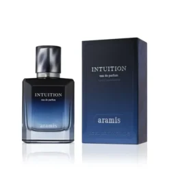 Intuition