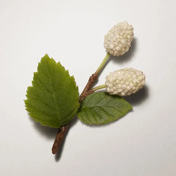 Les Mains Hermès, complete hand care