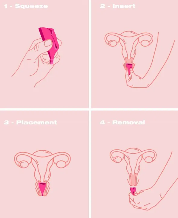 Lily Cup A Menstruationskop