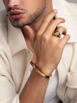 Men's Stainless Steel Lion Crest Ring with Gold Plating