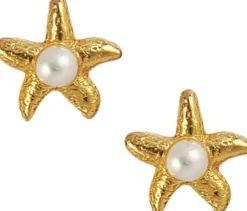 Mini sea star earstickers