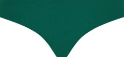 Navarino Brief