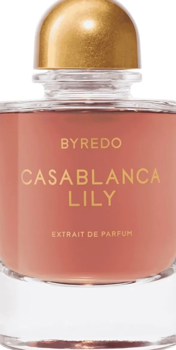 Night Veils Casablanca Lily