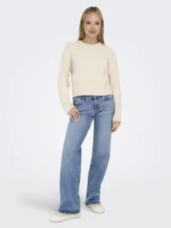 ONLJUICY LW WIDE LEG DNM REA365 NOO