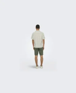 ONSTREV LIFE REG STRIPE SS SHIRT NO
