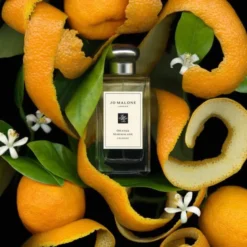Orange Marmalade Cologne