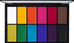 Painstick X 12 Palette
