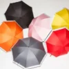 Pantone Travel Umbrella Orange 021 C