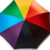 Pantone UMBRELLA LARGE - Pride