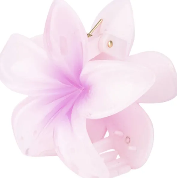 Plumeria Hawaii Big