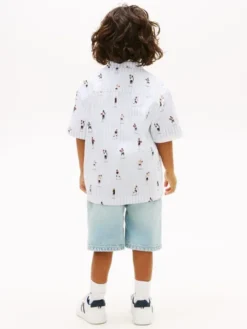 Print Ithaca Stripe Short Sleeve Oxford Shirt