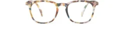 READING E Blue Tortoise +3