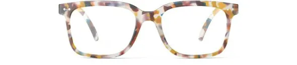 READING #L Blue Tortoise