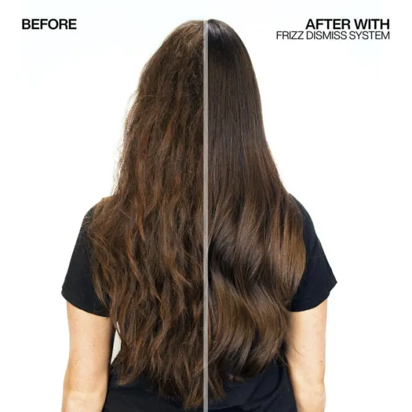 Redken Frizz Dismiss Rebel Tame Heat Protective Leave-In Cream 250ml
