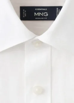 Regular-fit 100% linen shirt