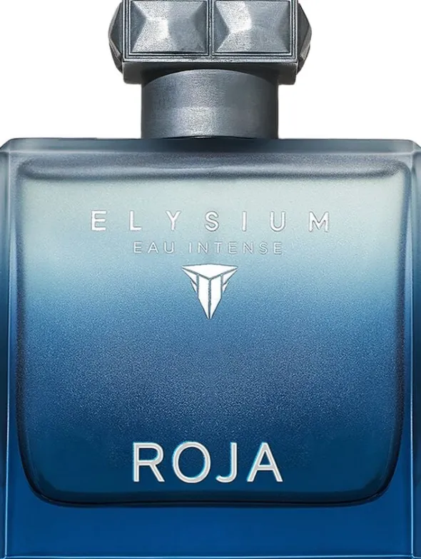 ROJA ELYSIUM EAU INTENSE POUR HOMME EDP 100 ML