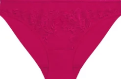 ROMANCE Brief