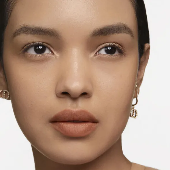 Rouge Dior Forever Transfer-Proof Lipstick
