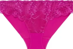 RÊVE Brief