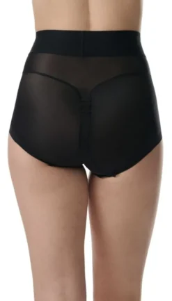 Sheer T. Curve Enhancing Brief -4W2021