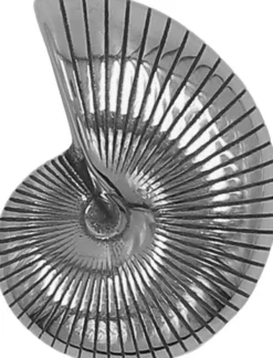 Shell Metal Sticker