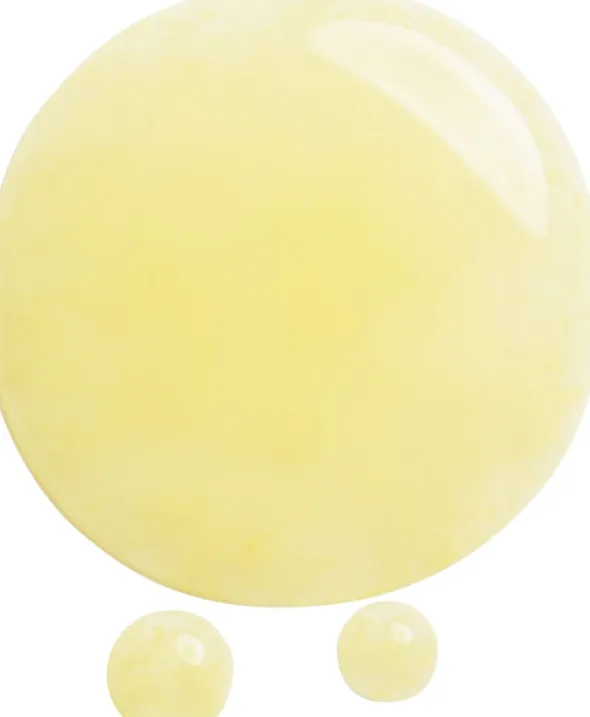 SHISEIDO Benefiance Neura Wrinkle smoothing serum 30 ML