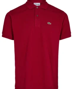 SHORT SLEEVED RIBBED COLLAR SHIRT