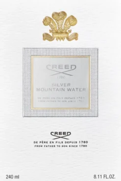 SILVER MOUNTAIN WATER 240 ML