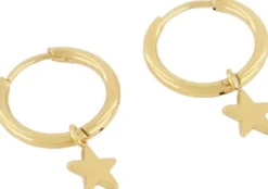 Small hoop earrings with star charm