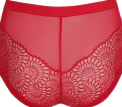 Sophora hotpants