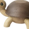 Speedy, skildpaddeunge
